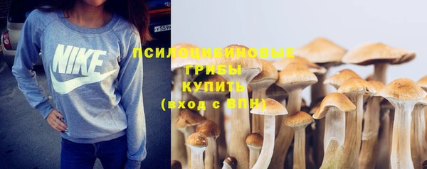 СК Заволжье