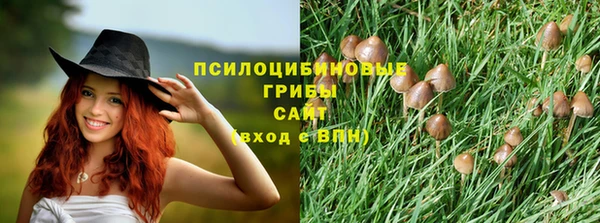 дживик Заволжск