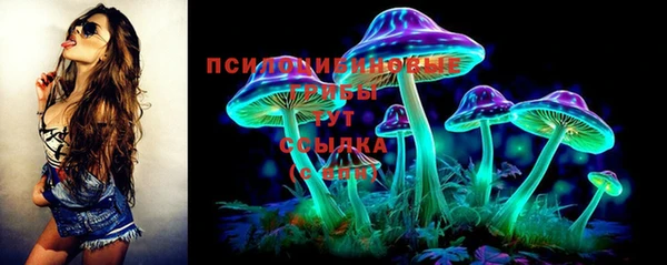 мескалин Заводоуковск