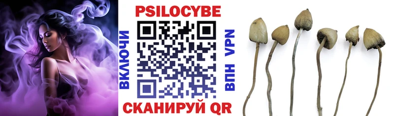 Купить  Лыткарино  Псилоцибиновые грибы Psilocybe 